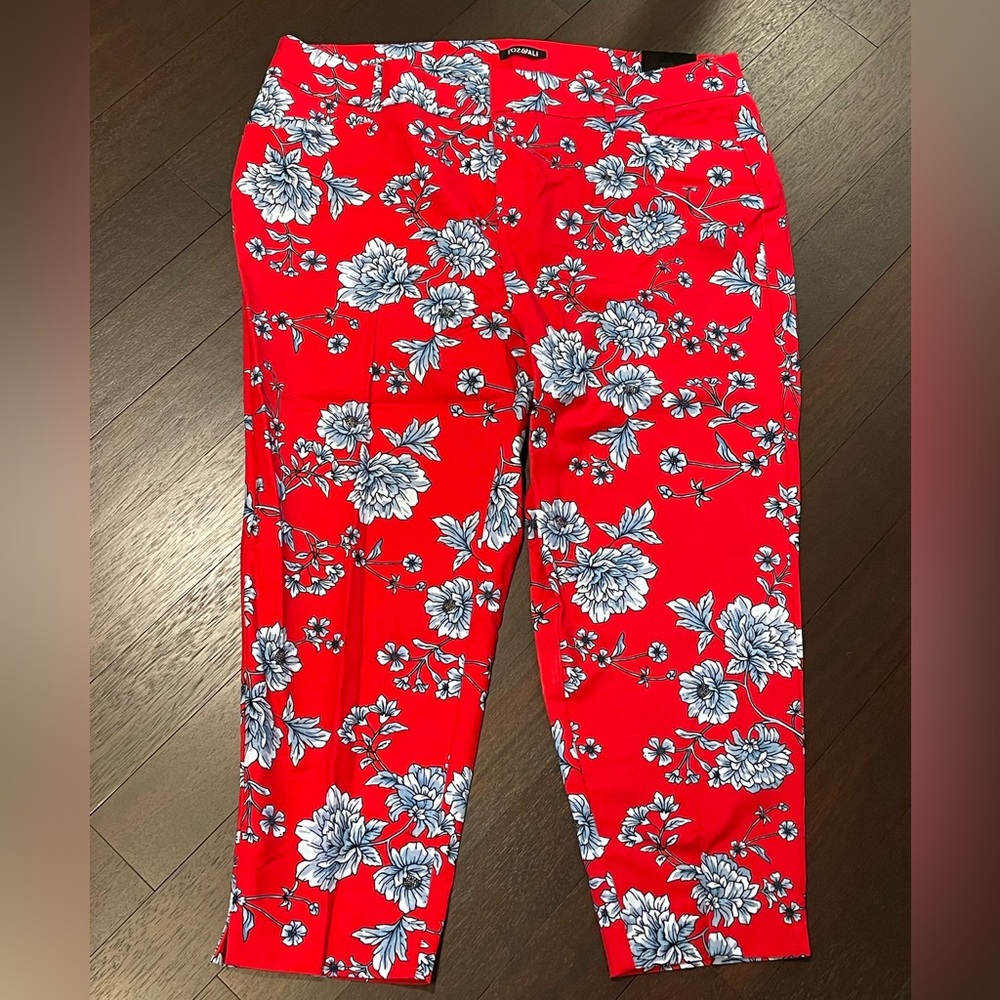Roz & Ali Dressbarn Red Ankle Pants with Light Blue & White Floral Design